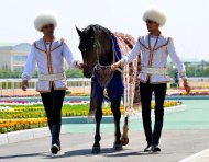 Photoreport: The best rider-mentor was awarded a valuable prize from the President of Turkmenistan