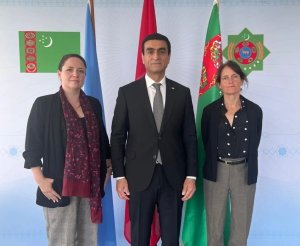 Türkmen diplomat, Cenevre'deki İnsan Hakları İzleme Örgütü'nün yöneticisiyle görüştü