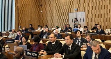 The delegation of Turkmenistan took part in the CIGEPS session