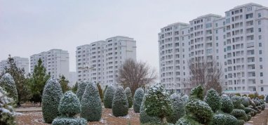 Заморозки в Туркменистане продолжатся