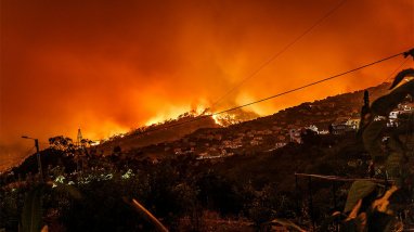 «The New York Times»: Günorta Kaliforniýadaky tokaý ýangynlary gözegçilikden çykdy