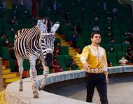 В госцирке Туркменистана прошло представление в честь национального праздника туркменского скакуна 