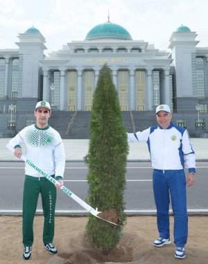 About 595 thousand seedlings were planted in Turkmenistan as part of the spring landscaping campaign