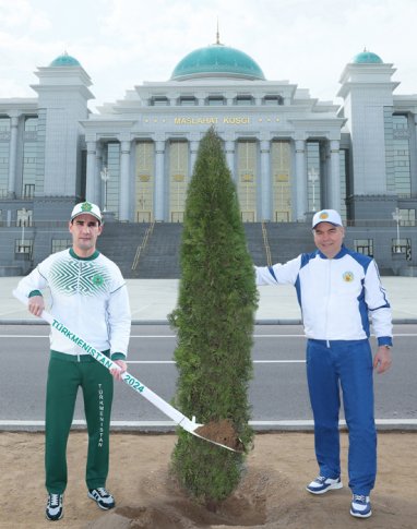 About 595 thousand seedlings were planted in Turkmenistan as part of the spring landscaping campaign
