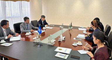 Turkmenistan and the UN discussed cooperation in the field of disaster risk reduction