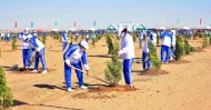 Photos: Tree planting campaign was held in Turkmenistan