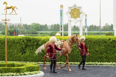 В Туркменистане пройдет международный конкурс красоты ахалтекинских коней