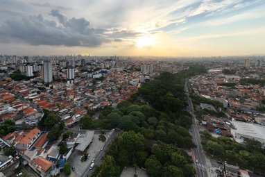 Braziliýaly seýilgäh döretmek üçin 22 ýylda 40 müň bag ýetişdirdi