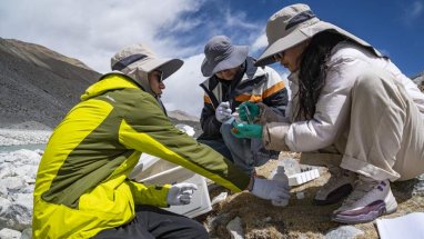 На Эвересте нашли останки двух доисторических морских хищников