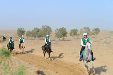 В Туркменистане прошел ахалтекинский конный марафон