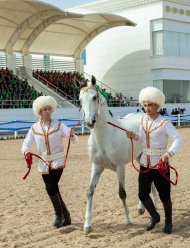 The second round of the international beauty contest of Akhal-Teke horses took place in Ashgabat