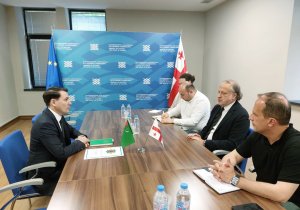 Türkmenistan’ın Gürcistan Büyükelçisi, Gürcistan Kültür ve Spor Bakan Yardımcısı ile görüştü