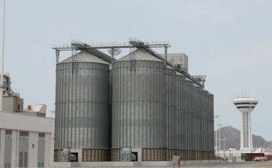В августе через Туркменбашинский морской порт прошло более 12 тыс. тонн пшеницы