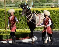 Фоторепортаж с церемонии награждения победителей международного конкурса красоты «Самая красивая ахалтекинская лошадь года»