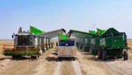 Фоторепортаж: В Ахалском, Лебапском и Марыйском велаятах началась уборка урожая зерновых