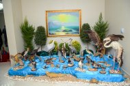 В Ашхабаде прошла выставка, посвященная красоте природы Каспийского моря