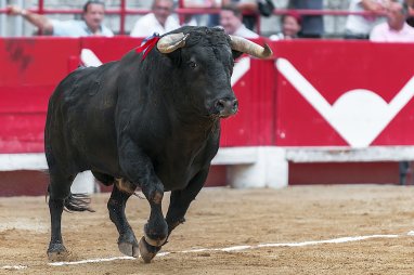 Six people were injured during the bull run in Spain
