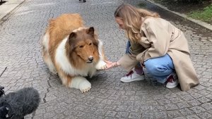 Japonya’da köpek olmak için 14 bin dolar harcayan adam artık başka bir hayvan olmak istiyor