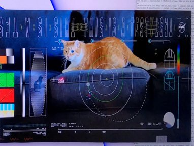 NASA передало на Землю видео с котом с расстояния 31 миллион километров