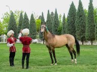 The second round of the Akhal-Teke horse beauty contest took place in Turkmenistan