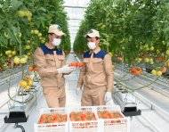 Photoreport: New greenhouse opened in Mary velayat 