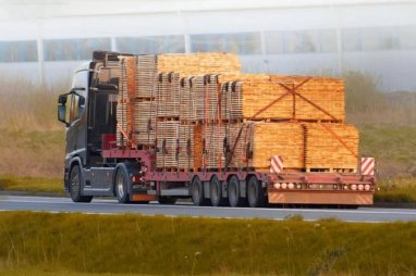 New requirements for timber transit across Russia published