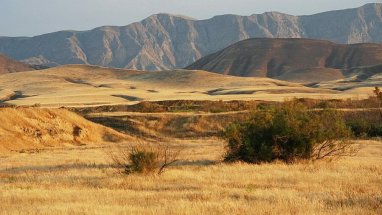 In Turkmenistan, 70 off-season controllers went to the observation fire-fighting posts