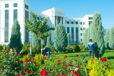 Türkmen uniwersiteti «UI Green Metric» Bütindünýä uniwersitetler reýtinginiň sanawyna goşuldy