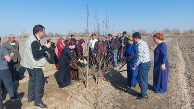 В Дашогузском велаяте проведен практический тренинг по развитию садоводства в условиях региона 