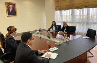 Turkmenistan and the EU discussed joint projects in economics and education