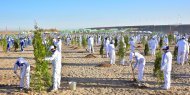 Photoreport: National tree celebrations held in Turkmenistan