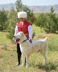 Фоторепортаж с международного конкурса «Отважный туркменский алабай года», прошедшего в Ахалском велаяте 