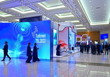 Количество интернет-пользователей в Туркменистане превысило 3,1 млн