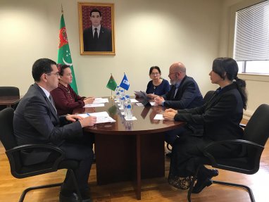 A meeting of the project council of the Ombudsman’s Office and UNDP was held in Ashgabat