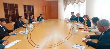 Представитель ОБСЕ по вопросам свободы СМИ провела переговоры в МИД Туркменистана