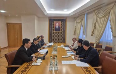 Turkmenistan and UNICEF discussed the development of STEAM education and inclusive learning