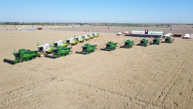 Grain harvesting campaign has started in Turkmenistan