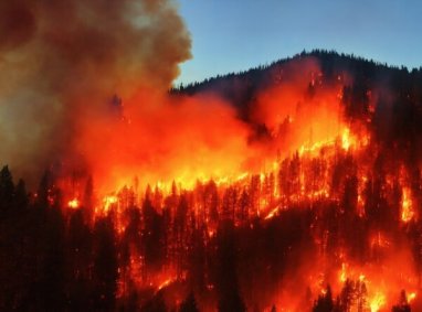 Makedoniýa we Bolgariýa goňşulardan tebigy ýangynlarda kömek sorady