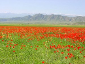 Конец мая в Туркменистане ознаменуется жаркой погодой