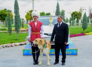 Türkmenistanda «Ýylyň türkmen edermen alabaýy» atly bäsleşigi geçirildi