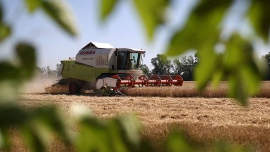 Kazakistan, ülkeye buğday ithalatı yasağını yıl sonuna kadar uzattı