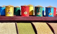 Фоторепортаж: во всех велаятах Туркменистана дан старт севу озимой пшеницы