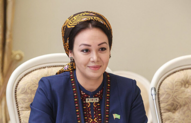 Туркменистан продолжает укреплять национальную правовую базу