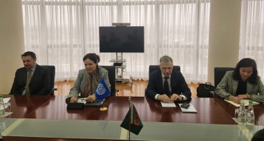 Туркменистан обсудил с МОТ планы сотрудничества на 2024 год