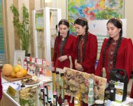 В Туркменистане День науки отметили международной конференцией