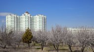 Spring in Ashgabat