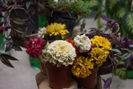 В Ашхабаде подвели итоги конкурса цветоводов