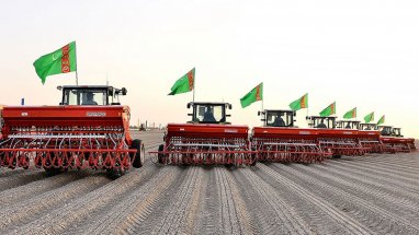 Президент Туркменистана предписал обеспечить производство богатого урожая пшеницы в 2024 году