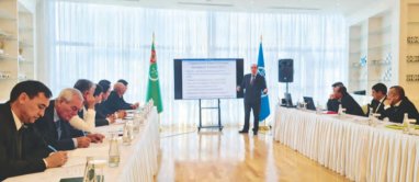 Meetings with FAO experts on the digitization of the State Land Cadastre were held in Turkmenistan