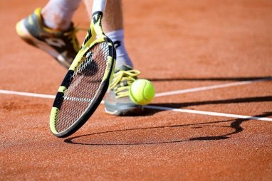 В Австралии прервали теннисный матч из-за ядовитой змеи